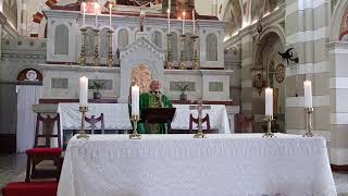 Transmissão ao vivo de Paróquia São Francisco de Assis Alagoinhas Bahia [upl. by Cressi761]