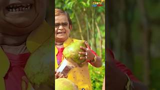 Chutu dada nariyal wala comedy chhotudadakicomedy [upl. by Wanfried]