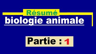 Résumé de biologie animale  1 [upl. by Monie]