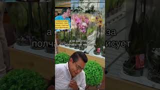 Не за что купить орхидеицветут orchidcare цветы орхидеи plants orchidarium пересадкаорхидеи [upl. by Yllrebmik]