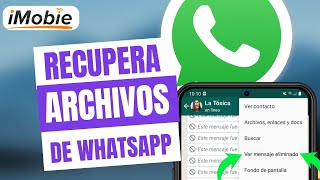 Cómo recuperar fotos y archivos de WhatsApp en iPhone⚠️ [upl. by Douglas64]