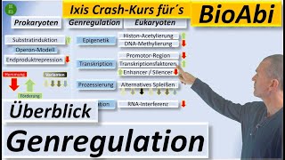 Überblick zur Genregulation bei Prokaryoten und Eukaryoten [upl. by Filipe]