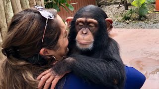 The most unbelievable experience Meeting Limbani at Zoological Wildlife Foundation [upl. by Radke]