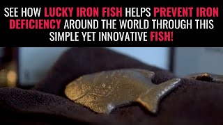 Customer Journey  Lucky Iron Fish [upl. by Misti312]