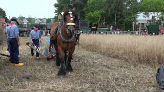 Boerendag Rijsbergen [upl. by Kara-Lynn454]