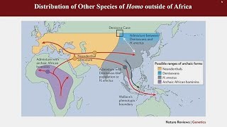 Imagining the Future of Anthropogeny [upl. by Fokos]