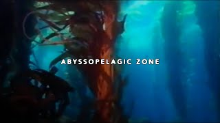 UICIDEBOY  ABYSSOPELAGIC ZONE LYRIC VIDEO [upl. by Brear221]