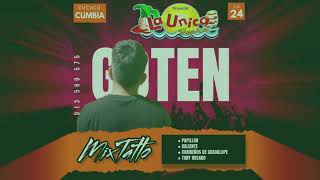 MIX TATTO LA UNICA TROPICAL  QUE PASO PAPILLON  KALIENTE  CARIBEÑOS  TONY ROSADO DJ GOTEN 2K24 [upl. by Aniteb]