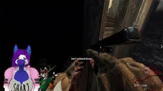 More Cod zombies but i crashed so theres 2 parts Part 1 [upl. by Francisco]