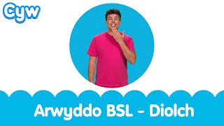 Arwyddo BSL  Diolch  BSL Signed Kids Song  Thankyou Welsh Cymraeg [upl. by Anna-Maria]