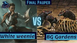 FINAL PAUPER White Weenie x BG Gardens [upl. by Robers]