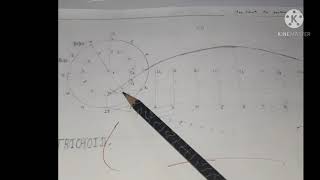 33 Trochoid [upl. by Cirek]