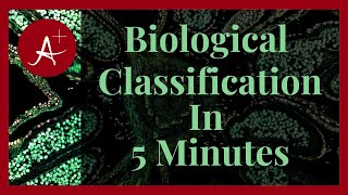 Mastering Biological Classification Unlocking the Secrets of Life on Earth  Academic Avengers [upl. by Abbottson419]