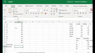 Excel  Skewness and Kurtosis [upl. by Hengel328]