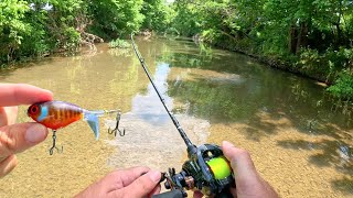 BFS Topwater Fishing Small Creek [upl. by Winters]