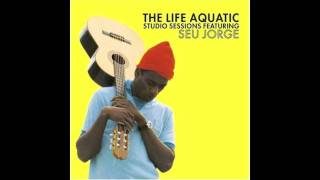 Seu Jorge  Rebel Rebel [upl. by Cordelie]