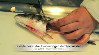 Howto Fisch Filetieren [upl. by Dawson]