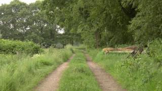 Nature Ambience Old Country Trail with Bird and Cattle Sounds [upl. by Vange382]