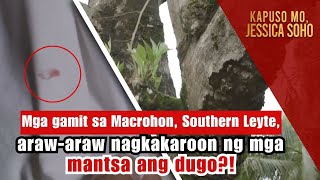 Mga gamit sa Southern Leyte arawaraw nagkakaroon ng mga mantsa ng dugo  Kapuso Mo Jessica Soho [upl. by Blane]