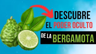 🌺 AROMATERAPIA BERGAMOTA 🌺 ¿¿Para qué sirve el ACEITE ESENCIAL de BERGAMOTA [upl. by Carrissa496]