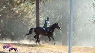 Heather Walden Spokane Sport Horse Farm HT September 2024 [upl. by Aisinoid424]