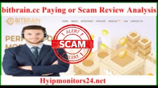 bitbraincc Paying or Scam Review Analysis [upl. by Bethanne501]