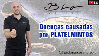 DOENÃ‡AS CAUSADAS POR PLATELMINTOS  ESQUISTOSSOMOSE  TENÃASE  CISTICERCOSE  ENEM  ZOOLOGIA [upl. by Beaulieu]