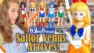 Sailor Venus Dollfie Dream Sister Doll Complete Unboxing amp Assembly [upl. by Zacherie]