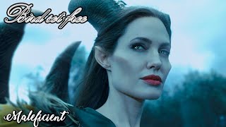 Maleficient  Bird Set Free  Sia Lyrics [upl. by Uziel]