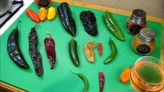 All About Chilies What you need to know S1 Ep177 [upl. by Kerrie601]