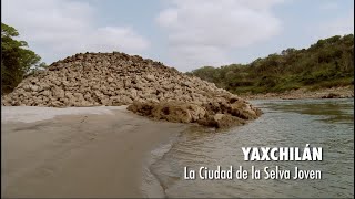 Yaxchilán la ciudad de la Selva Joven PIEDRAS QUE HABLAN [upl. by Neelloj798]