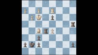 White Jacques Elbilia vs Black Arjun Erigaisi  2024 01 chess chessolympiad shorts [upl. by Lehet448]