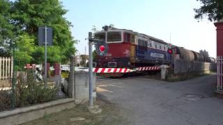 Trenord Trains Italy [upl. by Adimra]