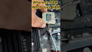 Where is RAM  What does RAM computers primarymemory computerram computerhardware [upl. by Frederico349]