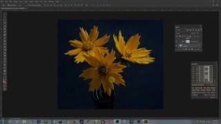 Downsampling images in Photoshop [upl. by Adaran378]