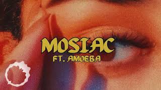 mosiac ft amoeba [upl. by Renell]