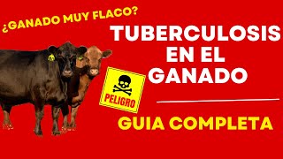 TUBERCULOSIS EN EL GANADO EL ENEMIGO DE TU GANADO [upl. by Abate]