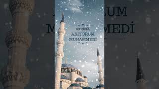 ARIYORUM MUHAMMEDİ SAV ilahiler [upl. by Evod]