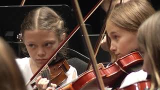 Pinellas All County Elementary Middle and High School Orchestra [upl. by Adnhoj]