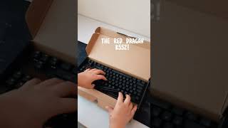 RedDragon K552 Review A Keyboard under 40 Dollars reddragon mechanicalkeyboard customkeyboard [upl. by Lajib469]