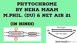 Phytochrome In Hindi  CSIR NET Life Sciences  Plant Physiology [upl. by Lennej]