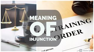 Meaning of Injunction  Specific Relief Act  Contract Law  Easy way  in Hindi [upl. by Glaser]