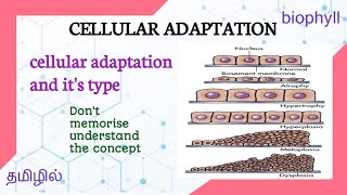 ALLIED HEALTH SCIENCE  PATHOLOGY  Cellular adaptation in tamil [upl. by Onailimixam]