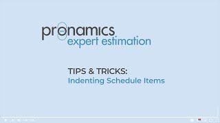 Tips amp Tricks  Indenting Schedule Items  Pronamics cost estimating software [upl. by Dietrich]