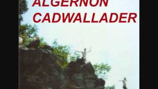 Algernon Cadwallader  Spit Fountain [upl. by Brasca750]