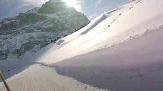 Hornschlittenrennen Grosse ScheideggSchwarzwaldalp 2020 [upl. by Sobmalarah]