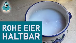 Eier haltbar machen  eigene Eier auch im Winter essen DIY Koch Selbermachen ohne Strom [upl. by Ysnat206]