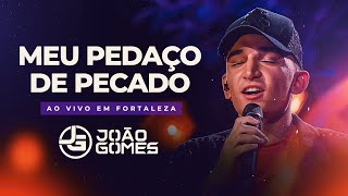 MEU PEDAÇO DE PECADO  João Gomes DVD Ao Vivo em Fortaleza [upl. by Donnie]