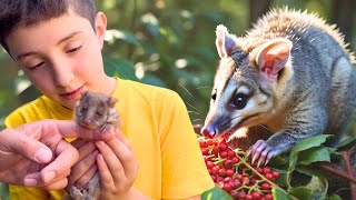 Wildlife Animal Adventure 🦜 Learn about Animals at the Zoo Educational Animal Videos for Kids [upl. by Isabelita]