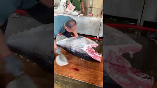 Blackfin Tuna First Slice – A Masterclass in Precision [upl. by Kirad]